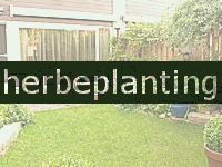 herbeplanting 's Gravenzande